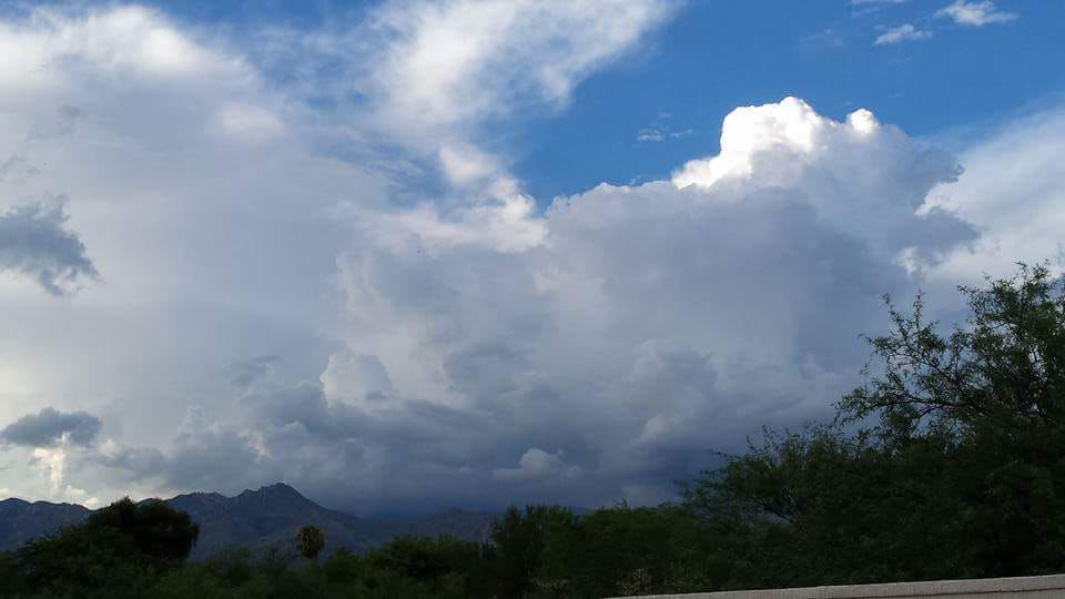 Reader monsoon photos
